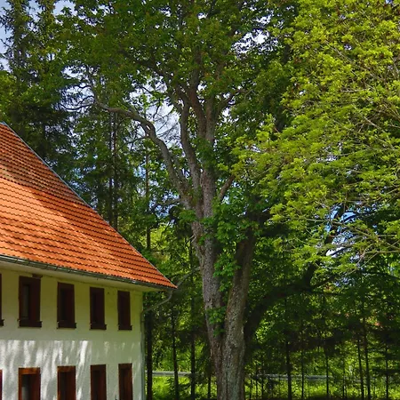 Schwarzwald Escape Guest House Gorwihl Exterior photo
