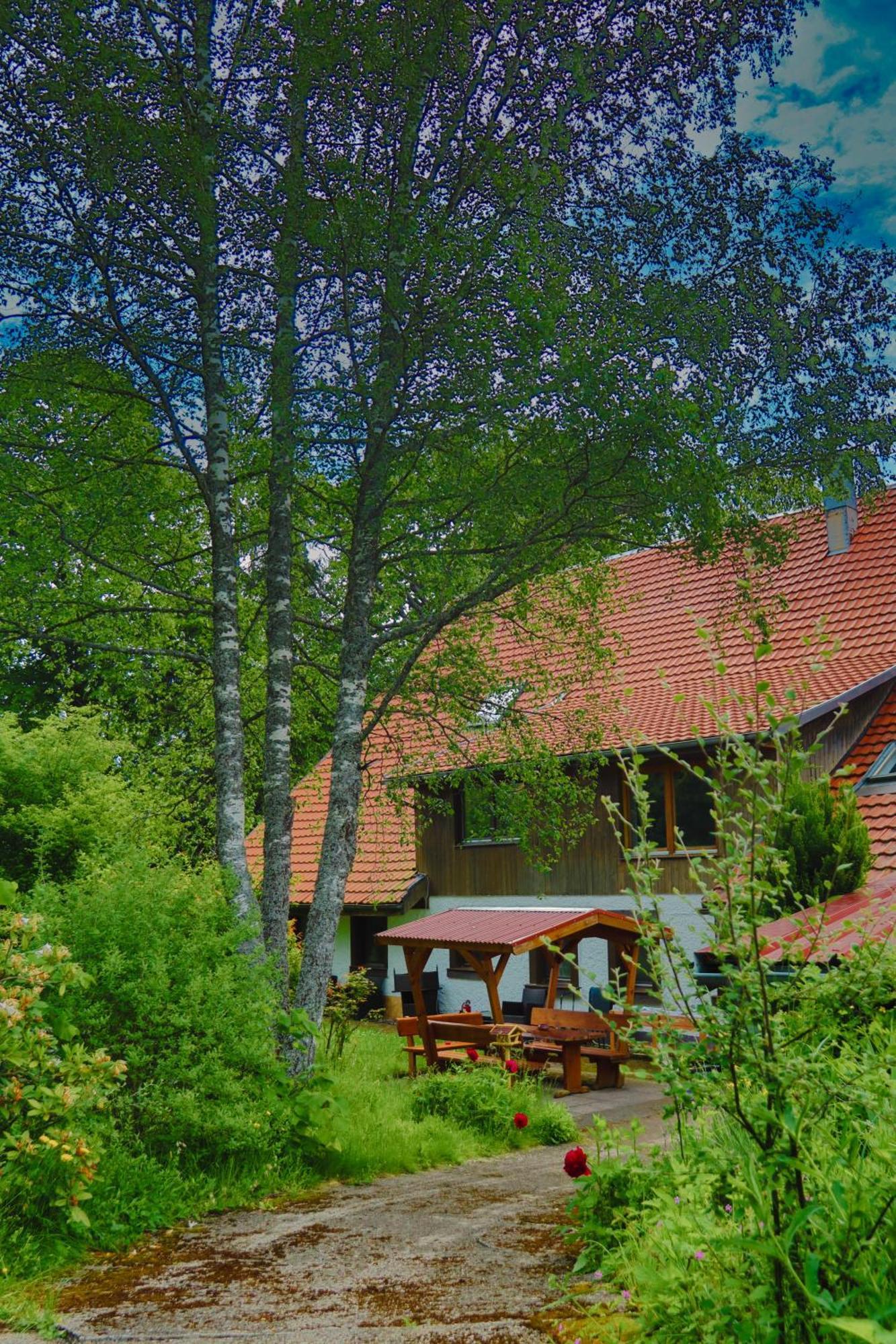 Schwarzwald Escape